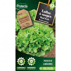 Graines Laitue À Couper...