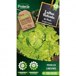 Graines Laitue Batavia...