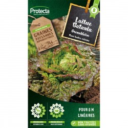 Graines Laitue Batavia...