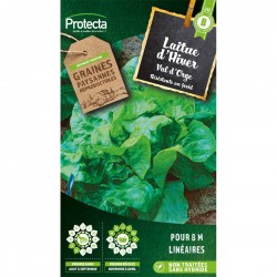 Graines Laitue D'Hiver Val...