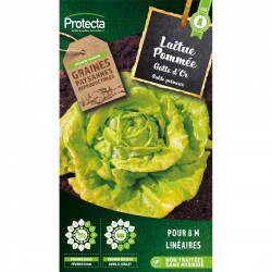 Graines Laitue Gotte Jaune...
