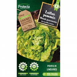 Graines Laitue Grosse...