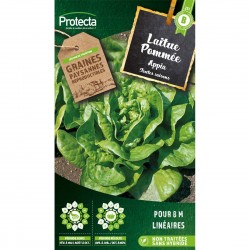 Graines Laitue Pommée Appia...