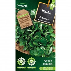 Graines Mâche Coquille De...