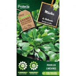 Graines Mâche De Hollande À...