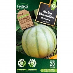 Graines Melon Canteloup...