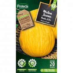 Graines Melon Jaune Boule...