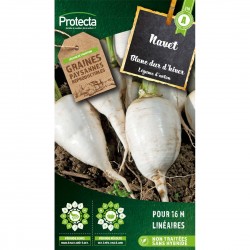 Graines Navet Blanc Dur...