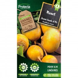 Graines Navet Jaune Boule...