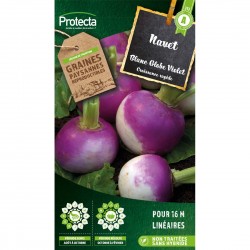 Graines Navet Rouge Plat...