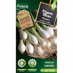 Graines Oignon Blanc...