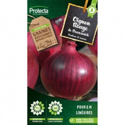 Graines Oignon Rouge De...