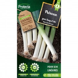 Graines Poireau Gros Long...