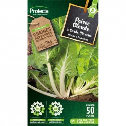 Graines Poirée Blonde À...