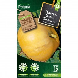 Graines Potiron Jaune Gros...