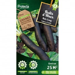 Graines Radis D'Hiver Noir...