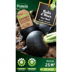 Graines Radis Noir Gros...