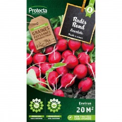 Graines Radis Rond Écarlate...