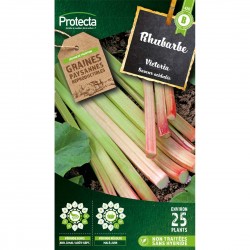 Graines Rhubarbe 2G-PROTECTA