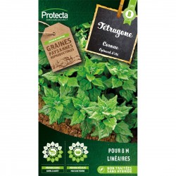 Graines Tétragone Cornue...