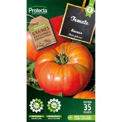 Graines Tomate Ananas...