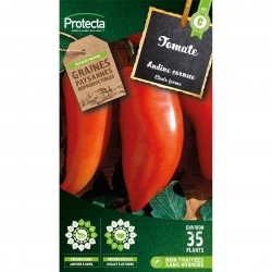 Graines Tomate Andine...