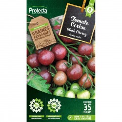 Graines Tomate Black Cherry...
