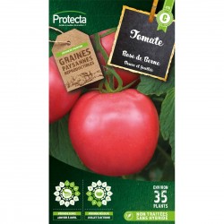 Graines Tomate Rose De...