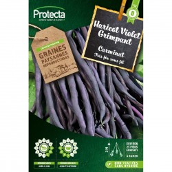 Graines Haricot Grimpant...