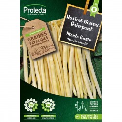 Graines Haricot Rames...