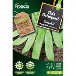 Graines Pois Mangetout...