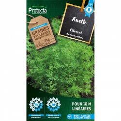 Graines Aneth Odorant...