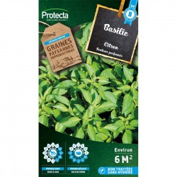 Graines Basilic Citron...