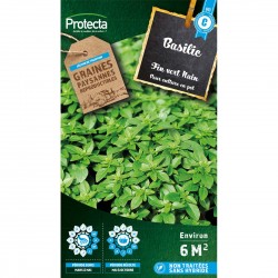 Graines Basilic Fin Vert...