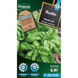 Graines Basilic Grand Vert...