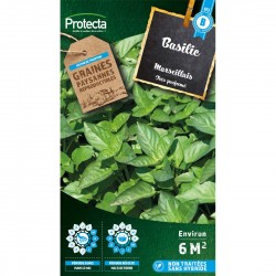 Graines Basilic Parfumé...