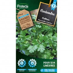 Graines Coriandre Cultivée...