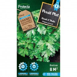 Graines Persil Plat Géant...