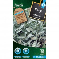 Graines Sauge Officinale...