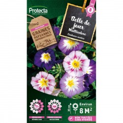 Graines Belle De Jour...