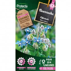 Graines Bourrache 2G-PROTECTA