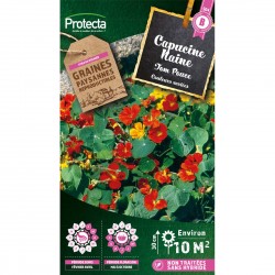 Graines Capucine Naine Tom...