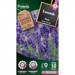 Graines Lavande Vraie...