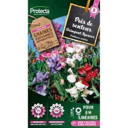 Graines Pois De Senteur...