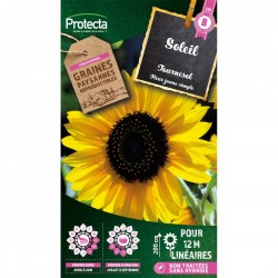 Graines Soleil Tournesol...