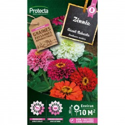 Graines Zinnia Géant...
