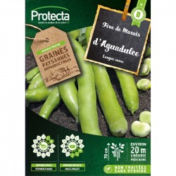 Graines Fève D'Agualduce À...