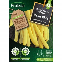 Graines Haricot À Rames...