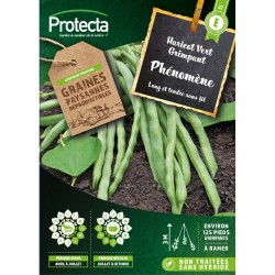 Graines Haricot À Rames...