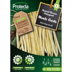 Graines Haricot À Rames...